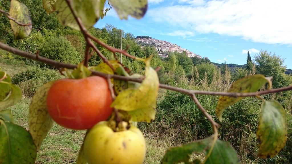 Hotel Sette E Mezzo Castelluccio Superiore Εξωτερικό φωτογραφία